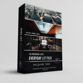 Valdaysfilm – Everyday LUT Pack Free Download