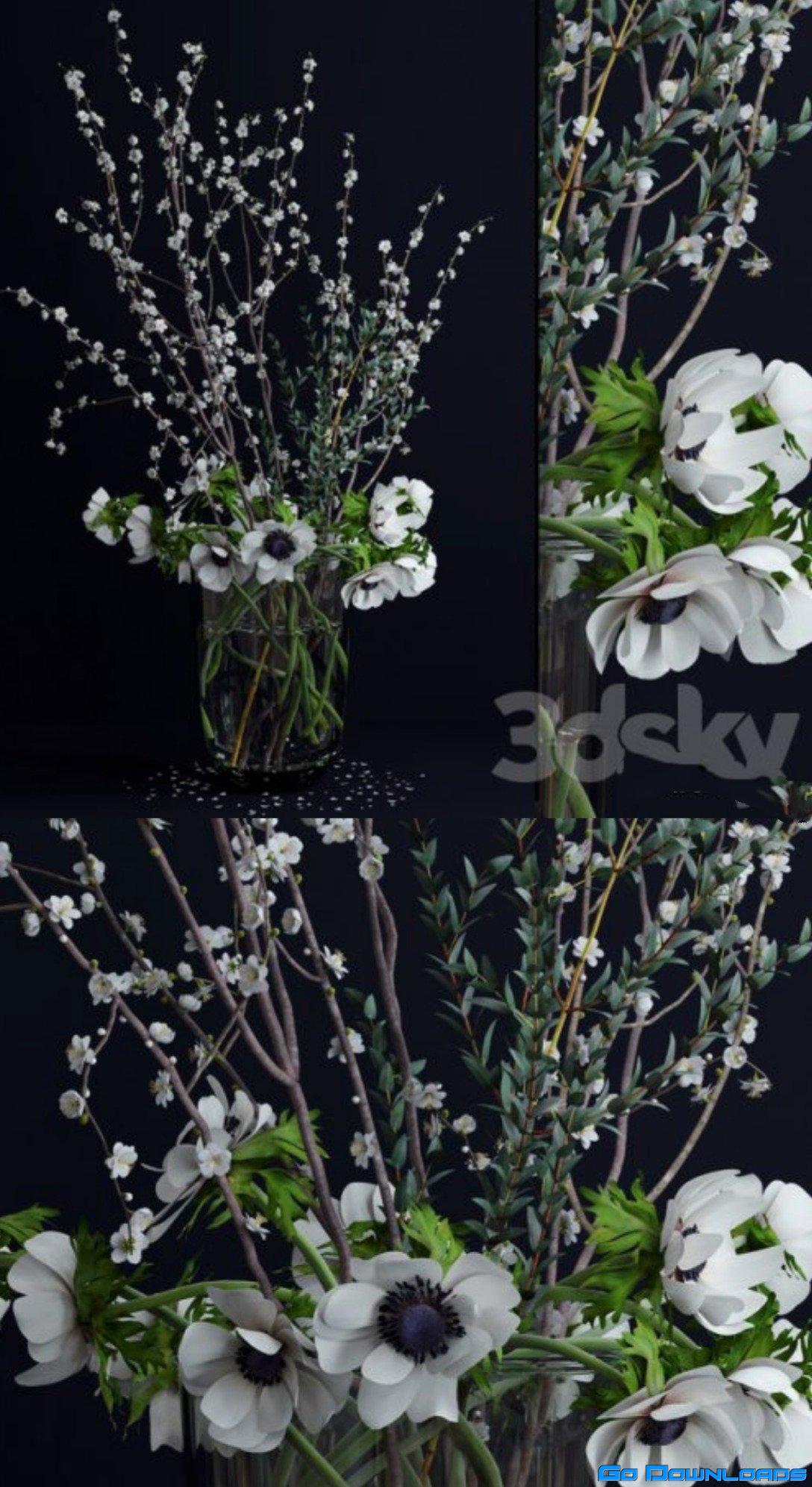 Anemones and branches Free Download