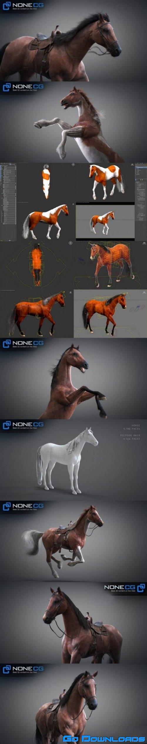 Animated 3D Horses Free Download