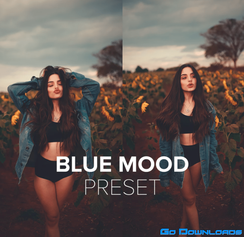 BLUE MOOD PRESET Free Download