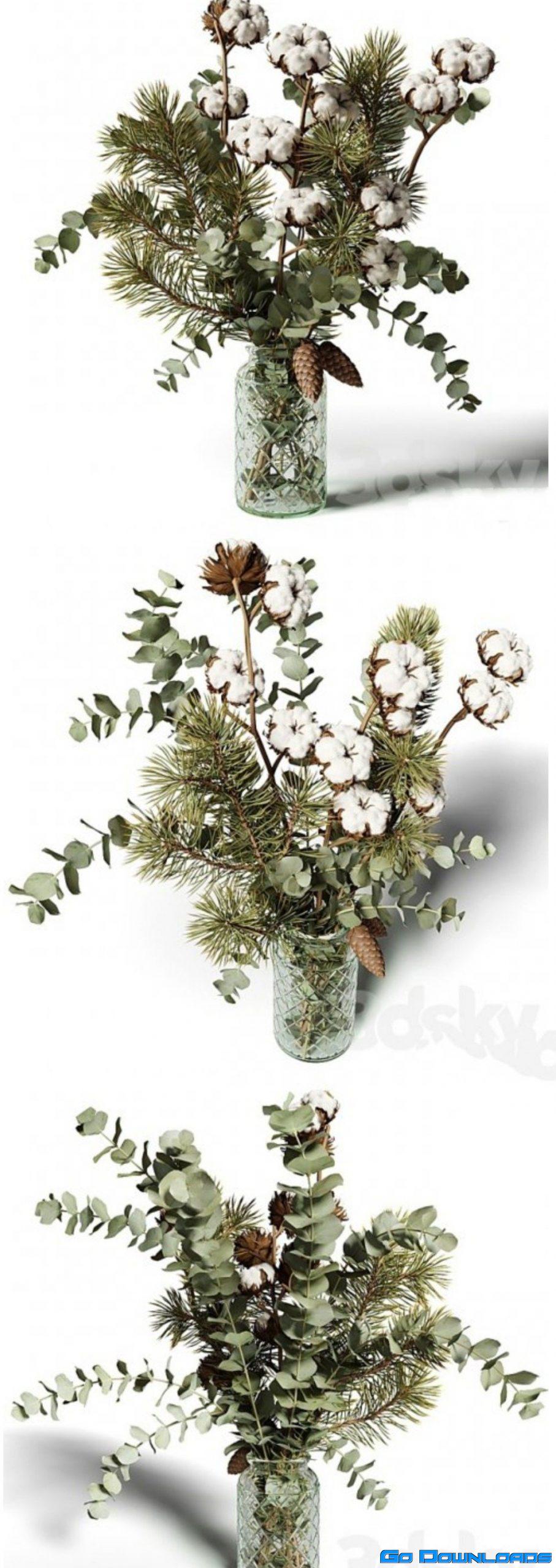 Bouquet of eucalyptus pine and cotton in a glass vase Free Download