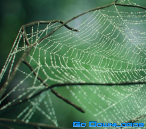 Cobwebs Modifier Plugin for 3ds Max Free Download