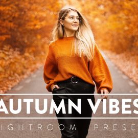 CreativeMarket – 10 AUTUMN VIBES Lightroom Preset 5473333