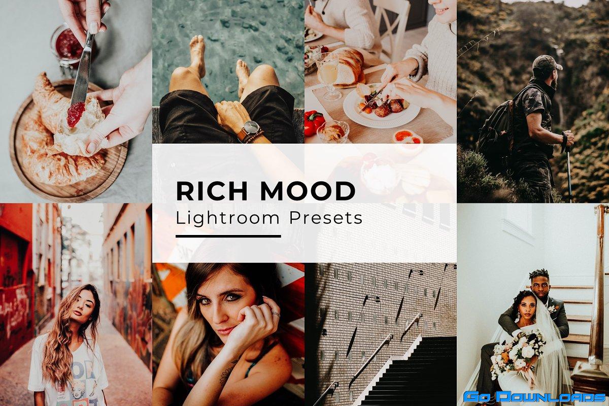 CreativeMarket – 10 Rich Mood Lightroom Presets 5435093