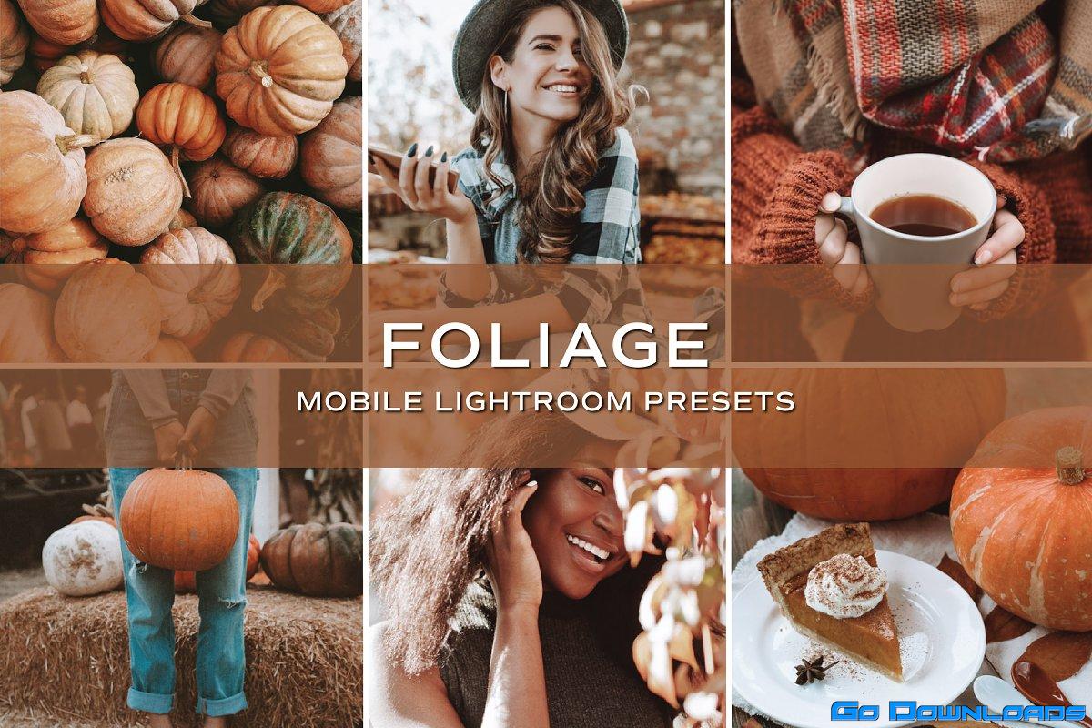 CreativeMarket – 5 Fall Lightroom Presets 5701789 Free Download