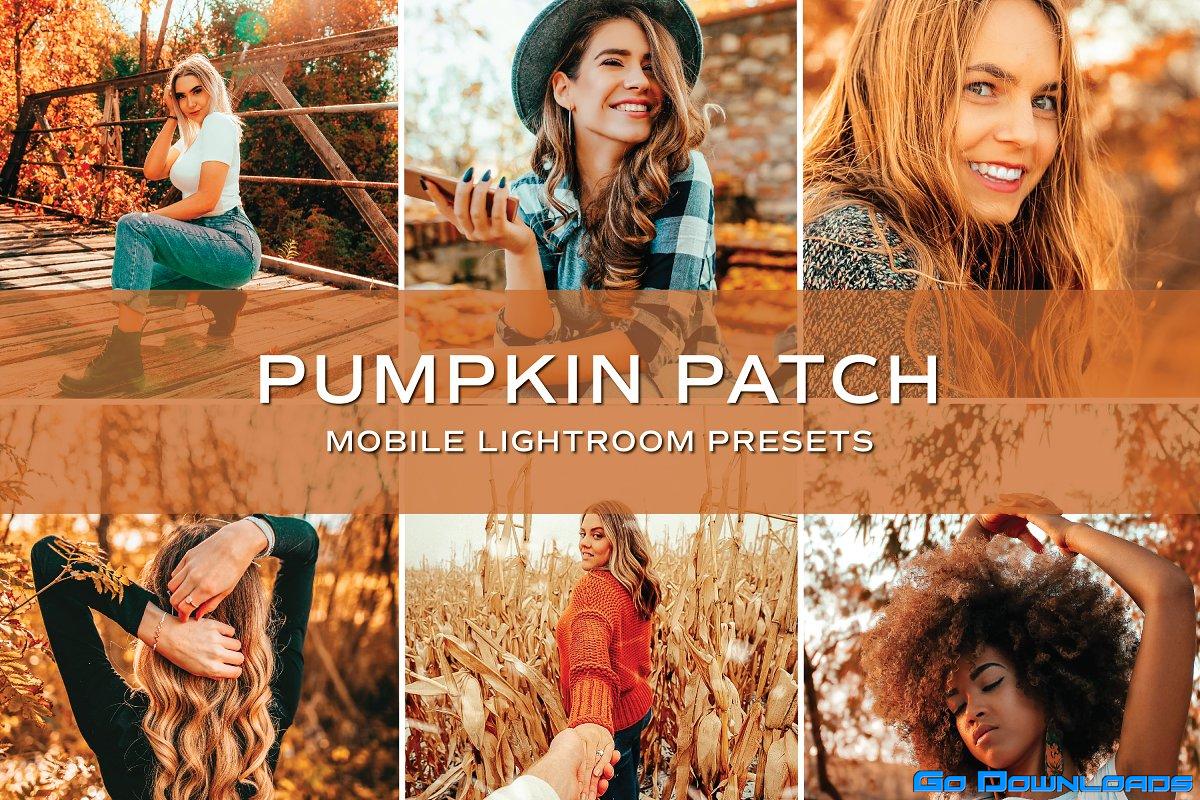 CreativeMarket – 5 Fall Lightroom Presets 5701790 Free Download