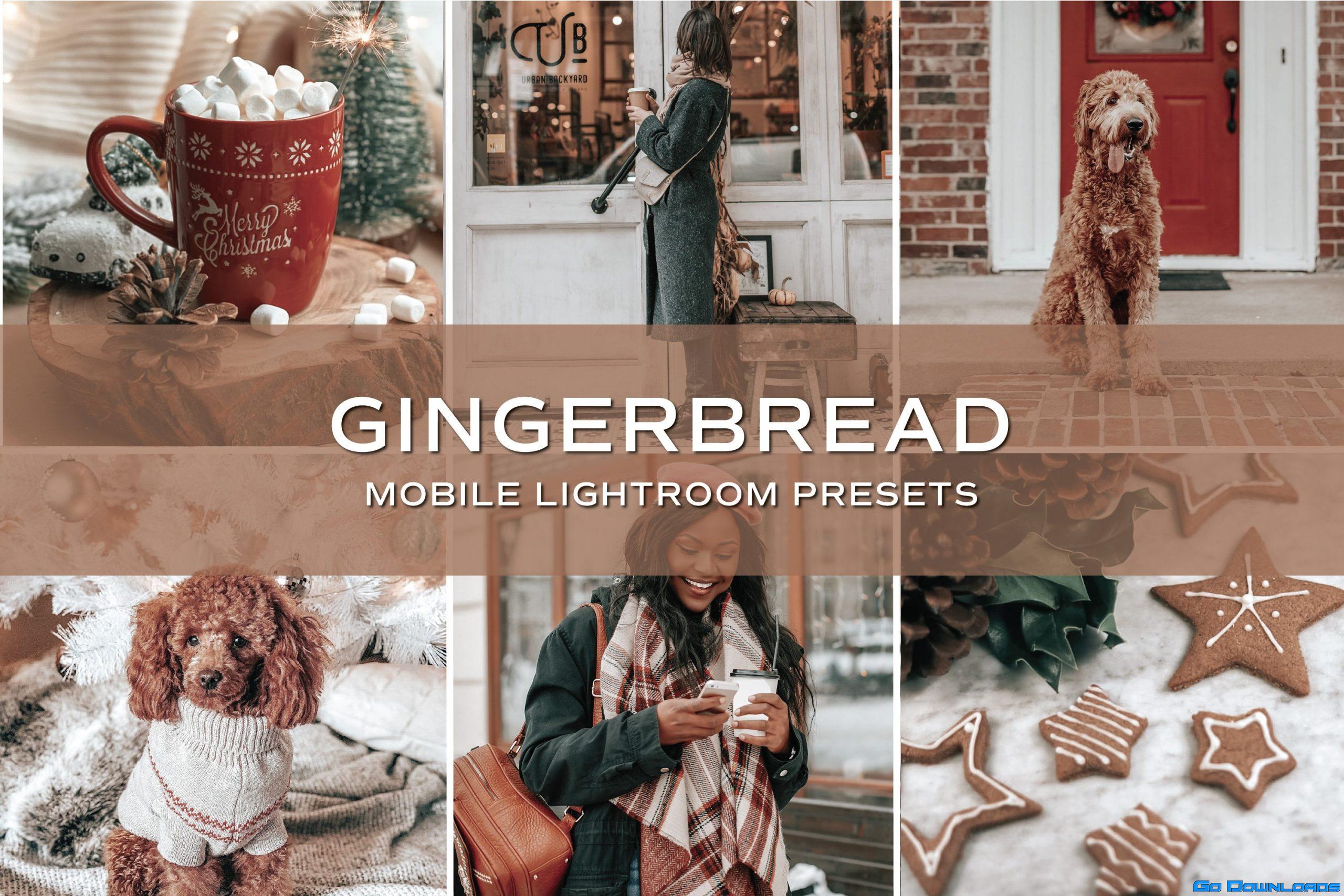 CreativeMarket – 5 Gingerbread Lightroom Presets 5701797 Free Download