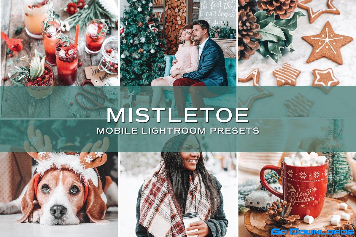 CreativeMarket – 5 Holiday Lightroom Presets 5701799 Free Download