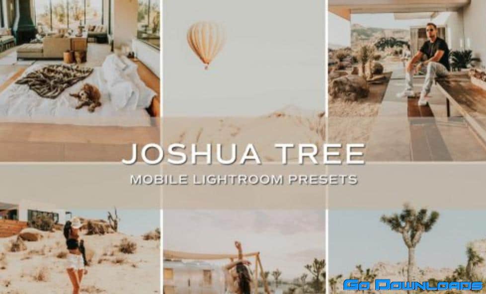 CreativeMarket – 5 Joshua Tree Lightroom Presets 5701728 Free Download