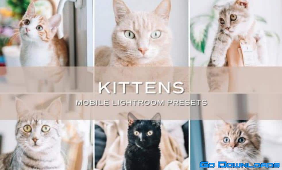 CreativeMarket – 5 Kittens Lightroom Presets 5701730 Free Download