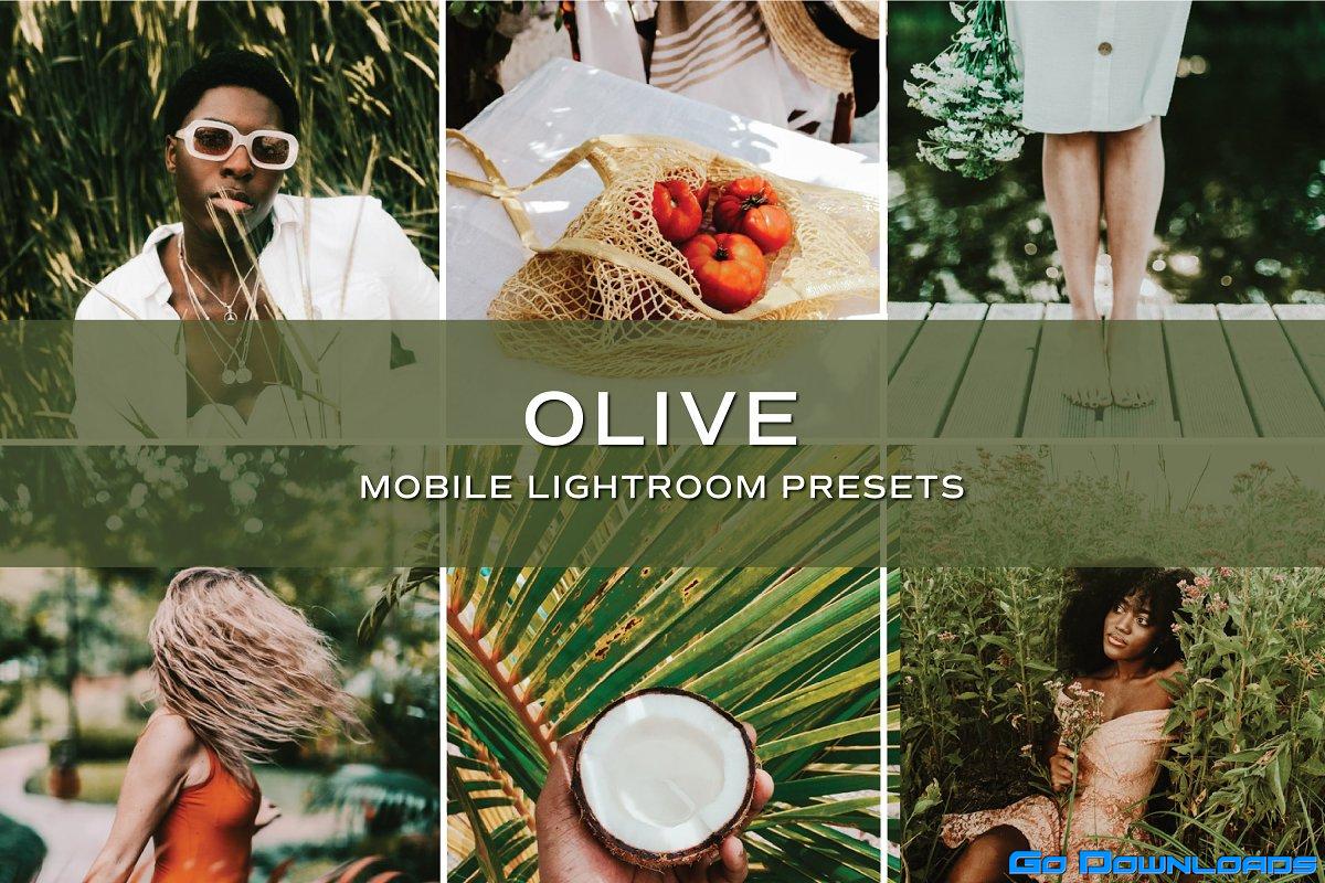 CreativeMarket – 5 Olive Lightroom Presets 5701778 Free Download