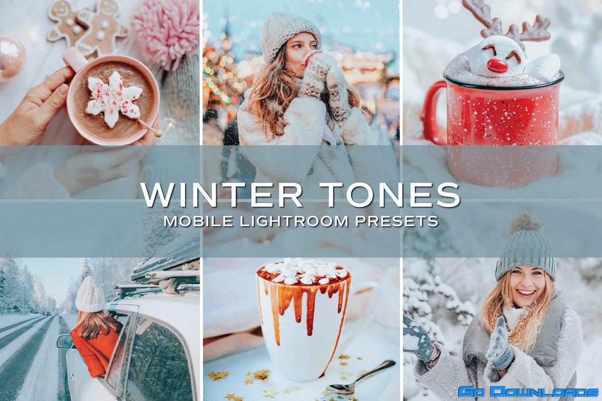 CreativeMarket – 5 Winter Tones Lightroom Presets 5698860 Free Download