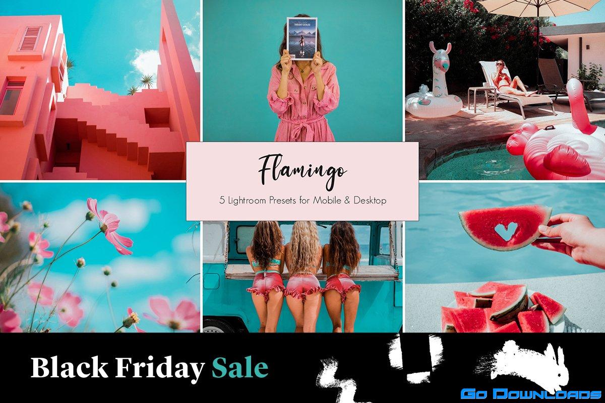 CreativeMarket – Flamingo Lightroom Presets 5426914