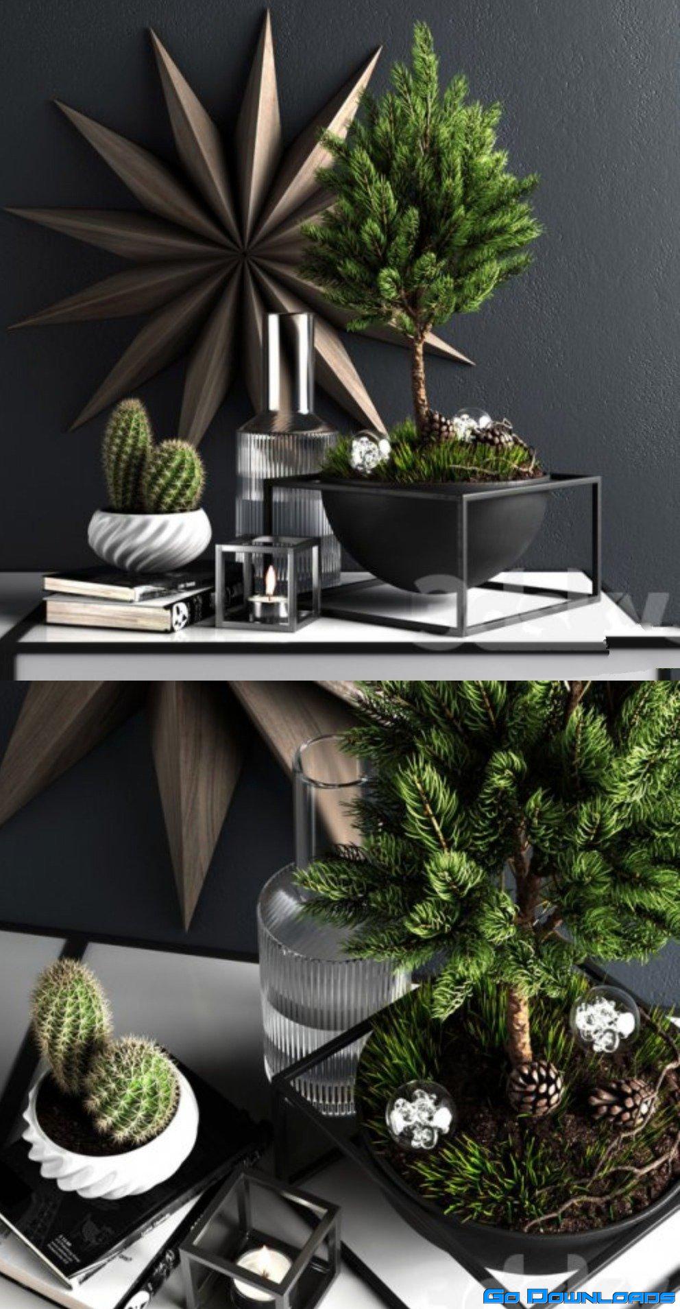 Decor set with pine tree Free Download