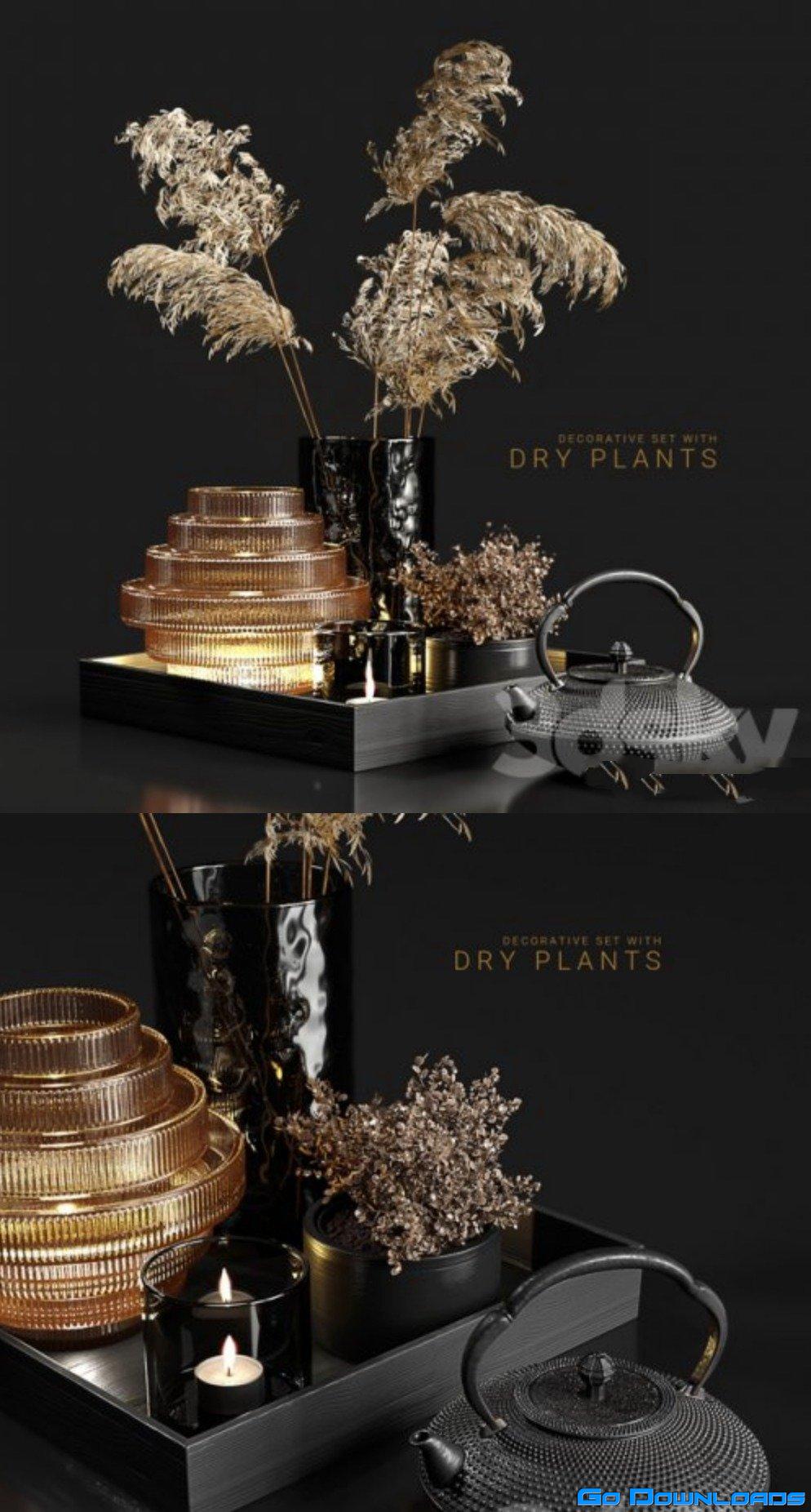 Decorative set with dry plants 3 Free Download