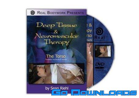 Deep Tissue and Neuromuscular Therapy The Torso Free Download