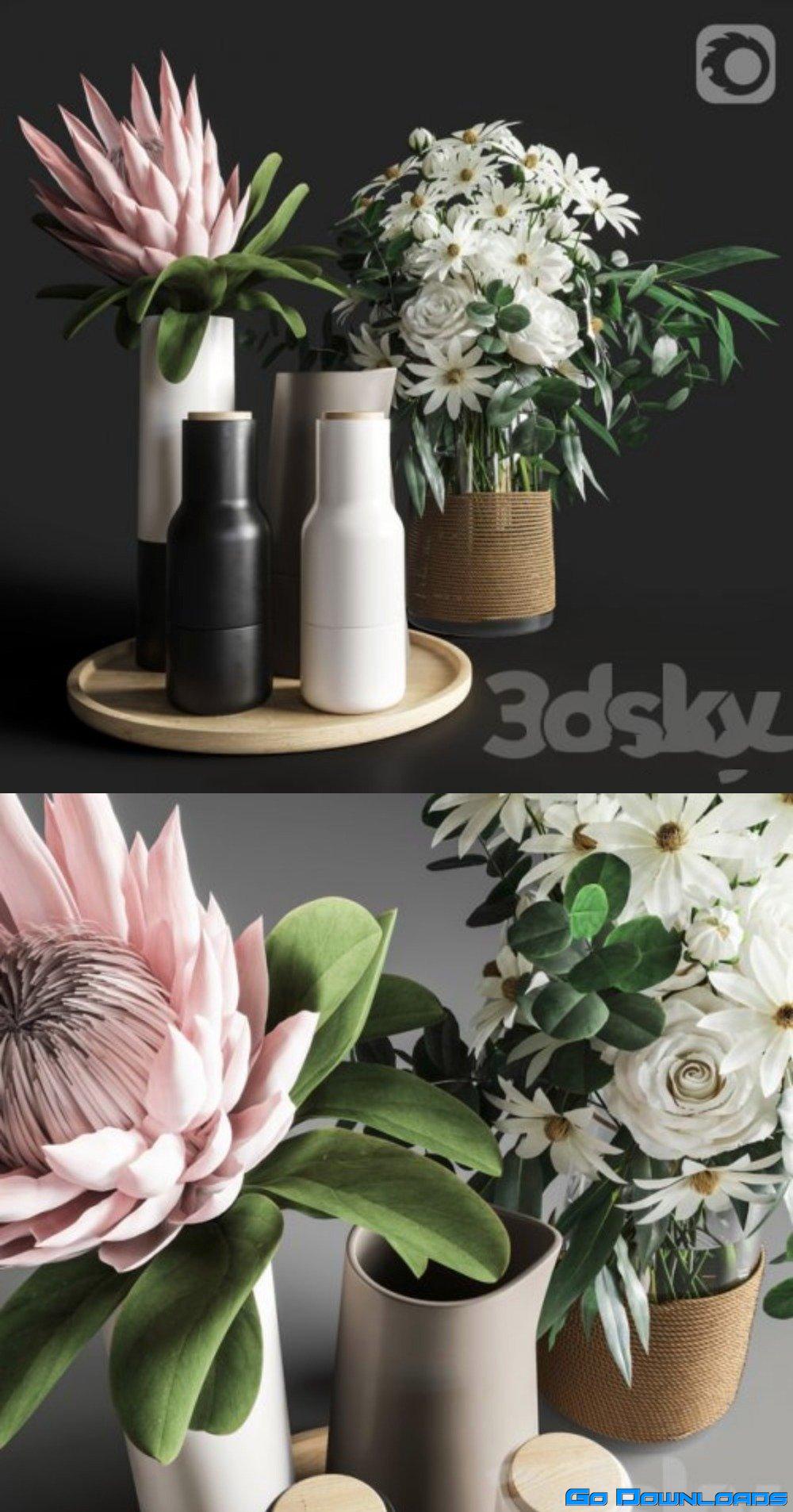 Flower Set 003 Protea and Roses Free Download