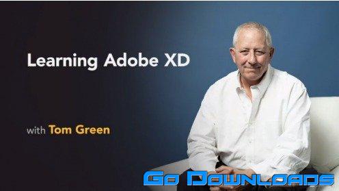 Lynda Learning Adobe XD (Updated) Free Download