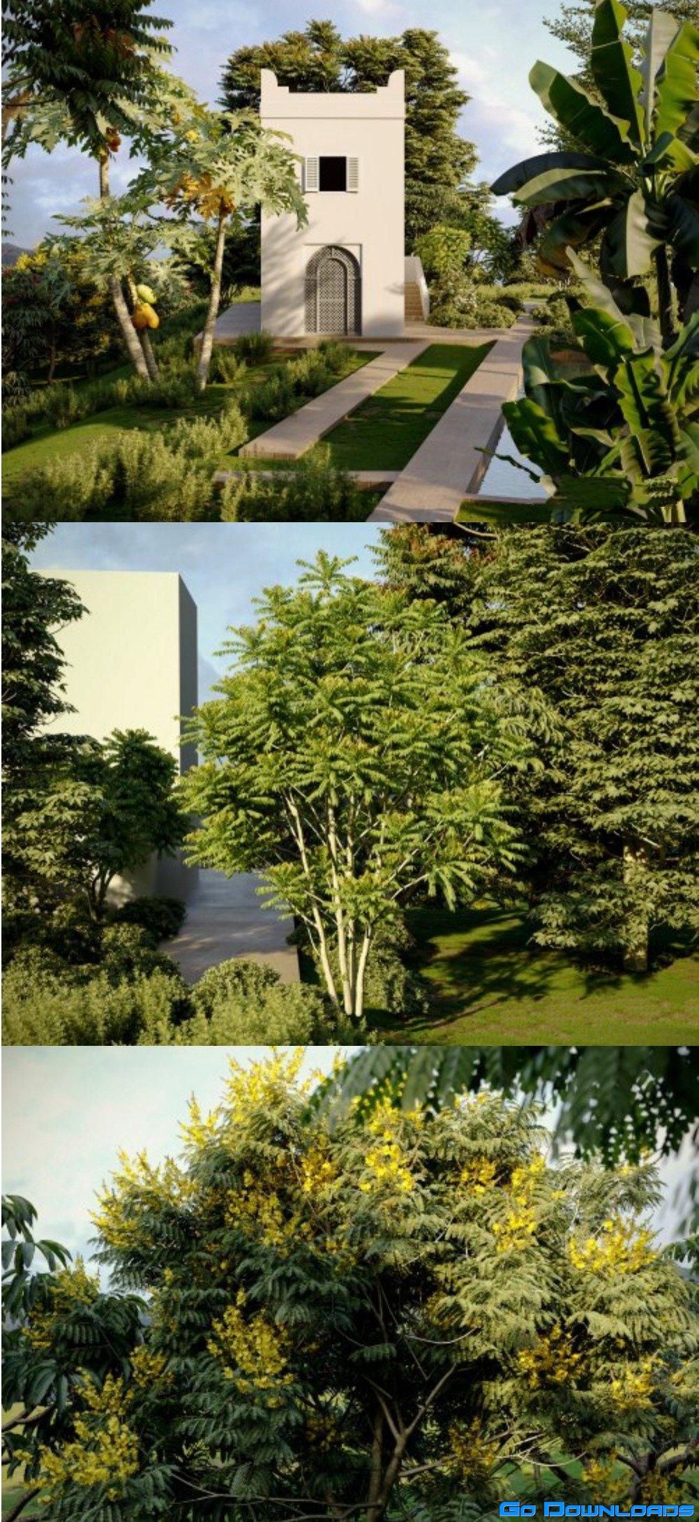 Maxtree Plant Models Vol. 67 Free Download