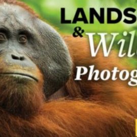 National Geographic Guide to Landscape & Wildlife Photography