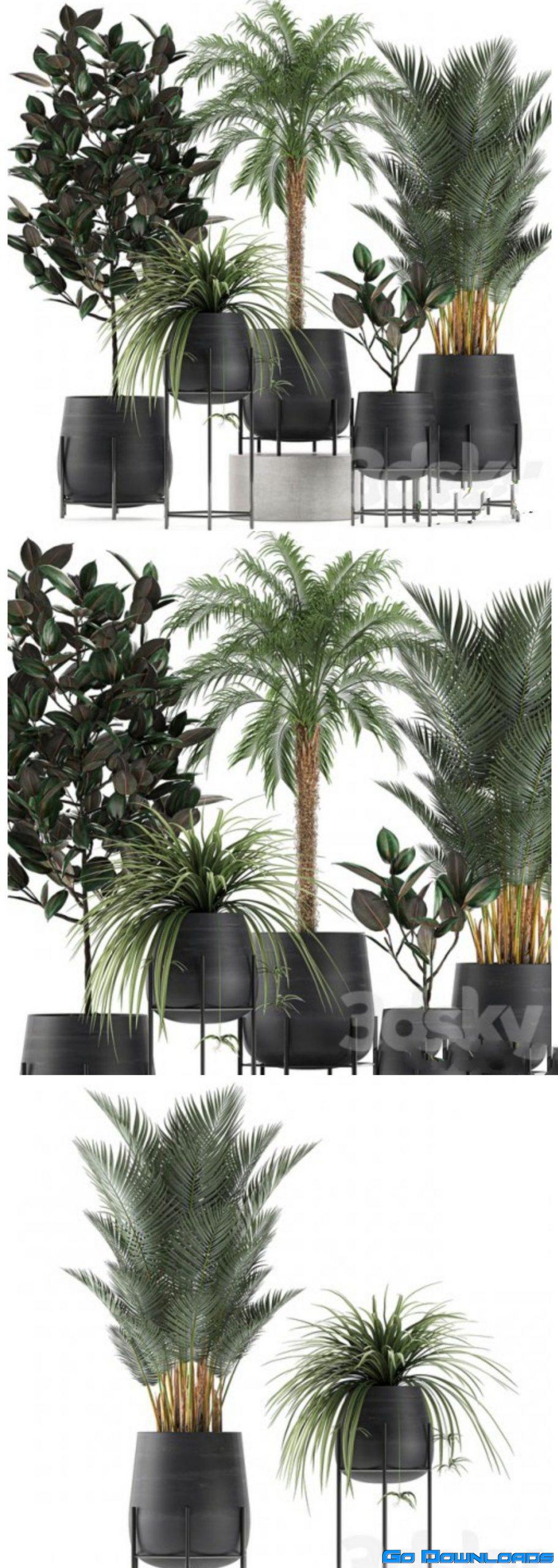 Plant Collection 627 Free Download