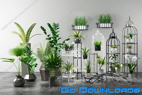 Plants Collection 69 Free Download