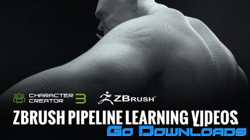 Reallusion Zbrush Pipeline Learning Videos Free Download