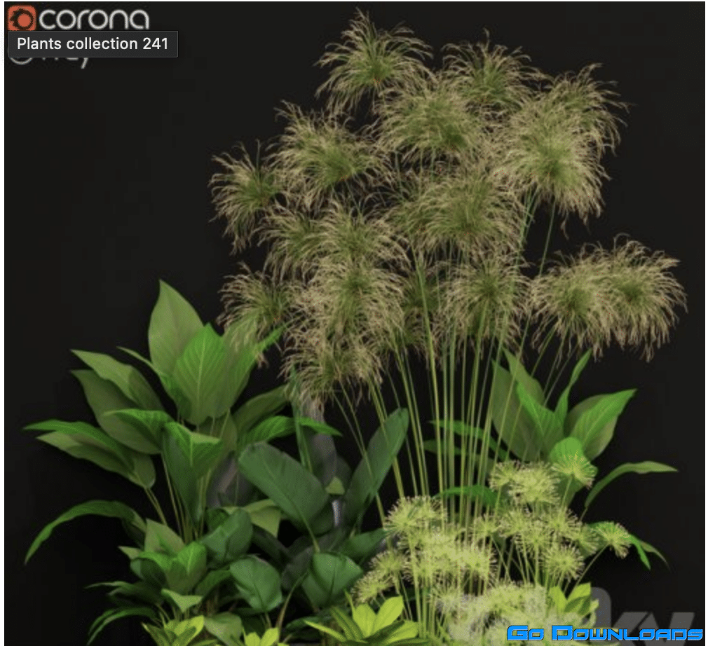 Plants collection 241 Free Download