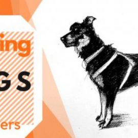 The Dog Figure | Drawing Animals For Beginners