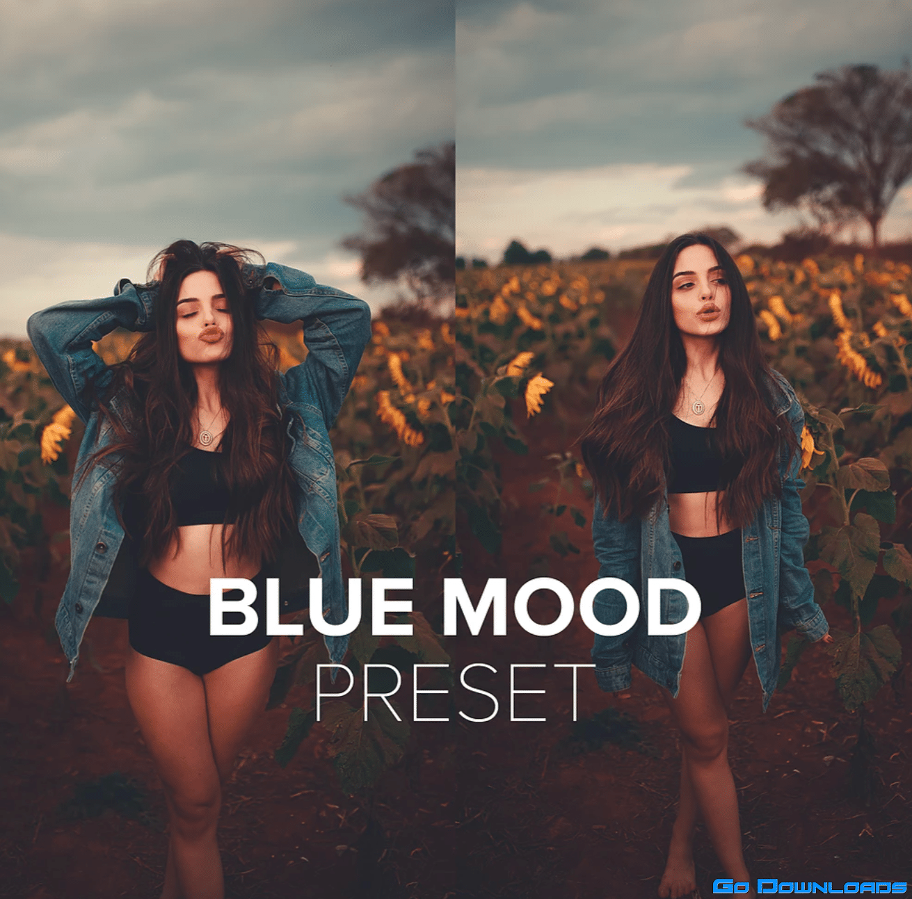 Luizclas – Blue Mood Presets + RAW files/Tutorial