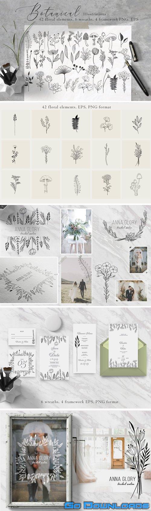 CreativeMarket Floral Botanical Illustrations 4479176 Free Download