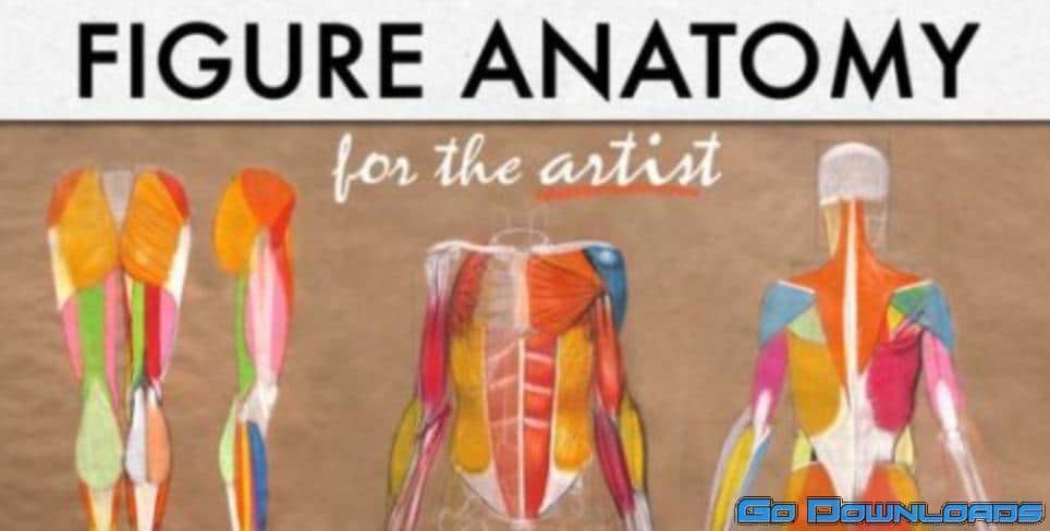 Figure Anatomy for the Artist Free Download