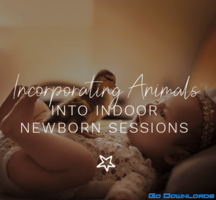 Incorporating Animals into Indoor Newborn Sessions by ​But Natural Photography