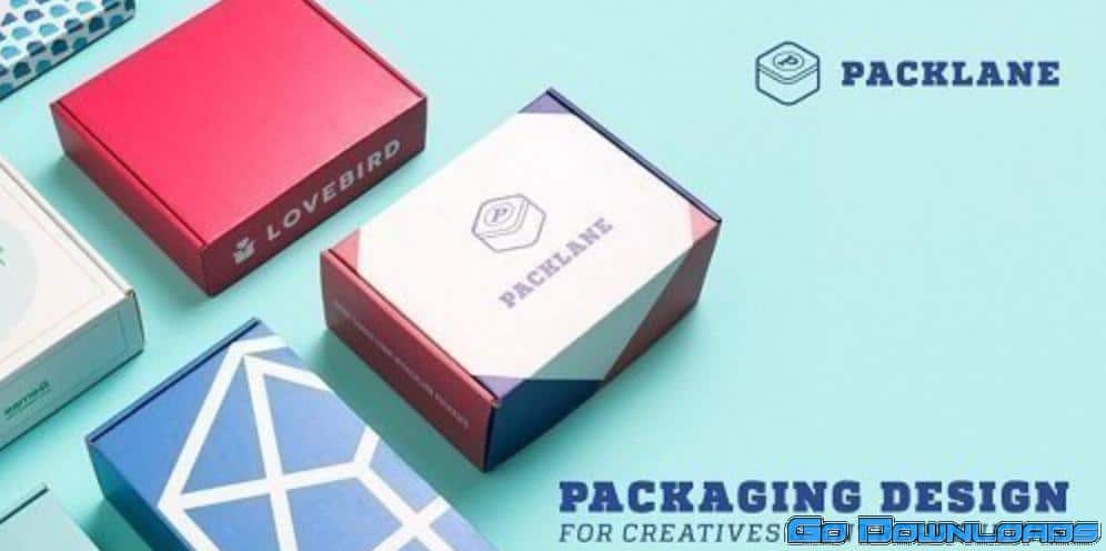 Packaging Design for Creatives & Entrepreneurs Free Download