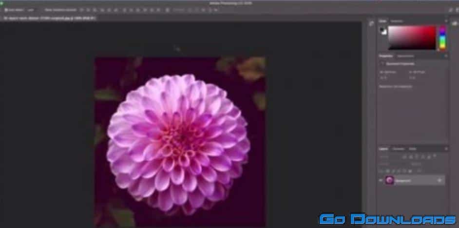 Photoshop for beginners Free Download