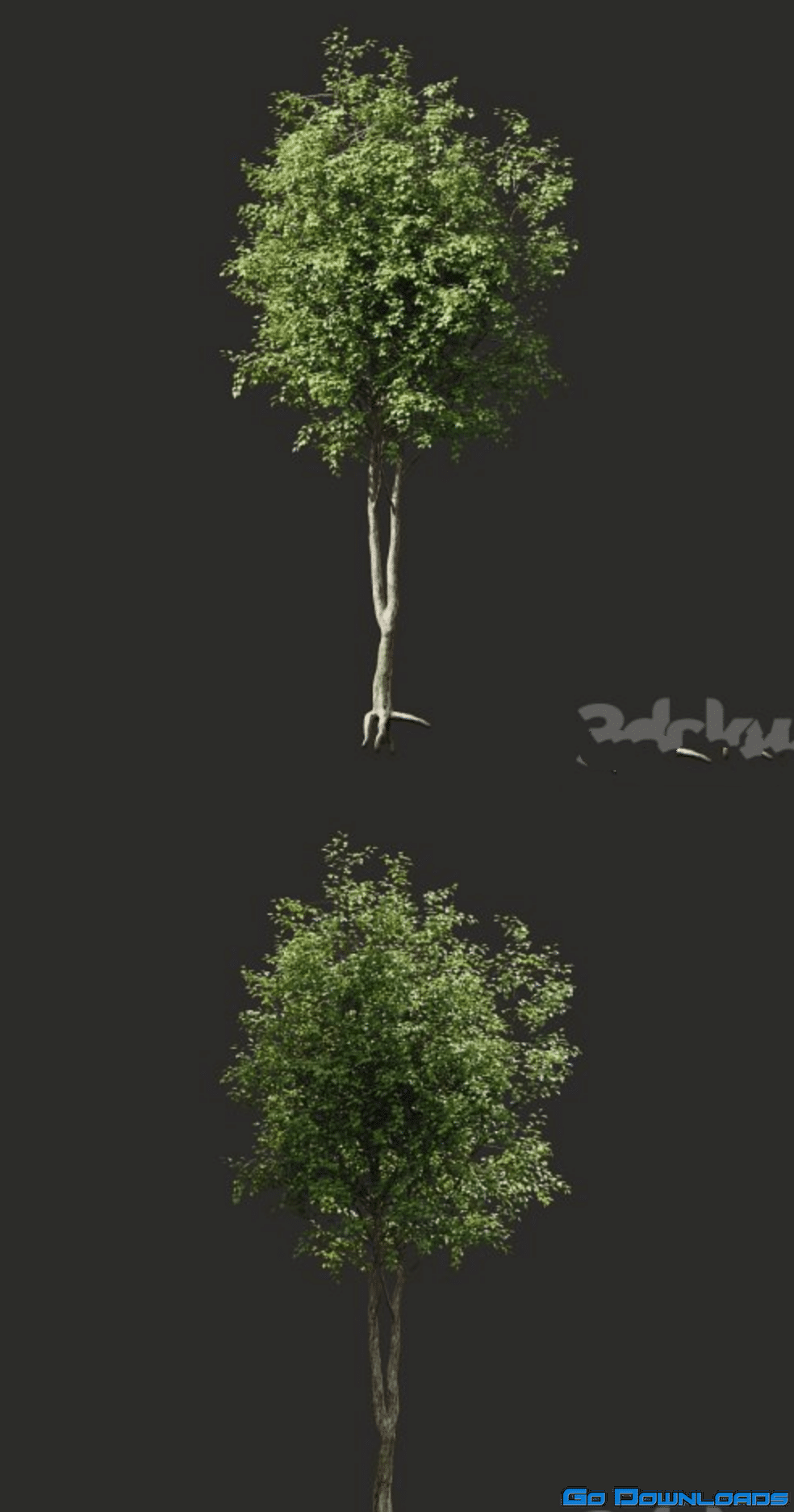 Summer tree # 2 Free Download