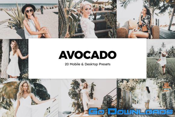 20 Avocado Lightroom Presets and LUTs 8076166 Free Download