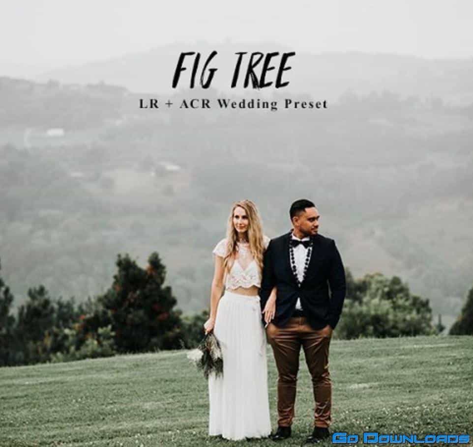 Andrewsuncolor – Fig Tree Lightroom Presets Free Download