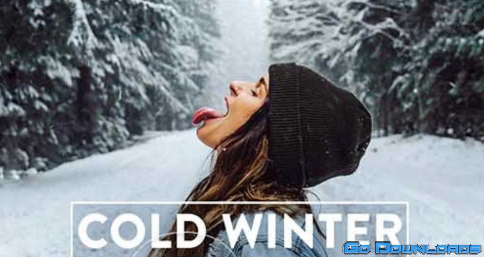 CreativeMarket 10 WINTER Lightroom Mobile Preset 5757458 Free Download