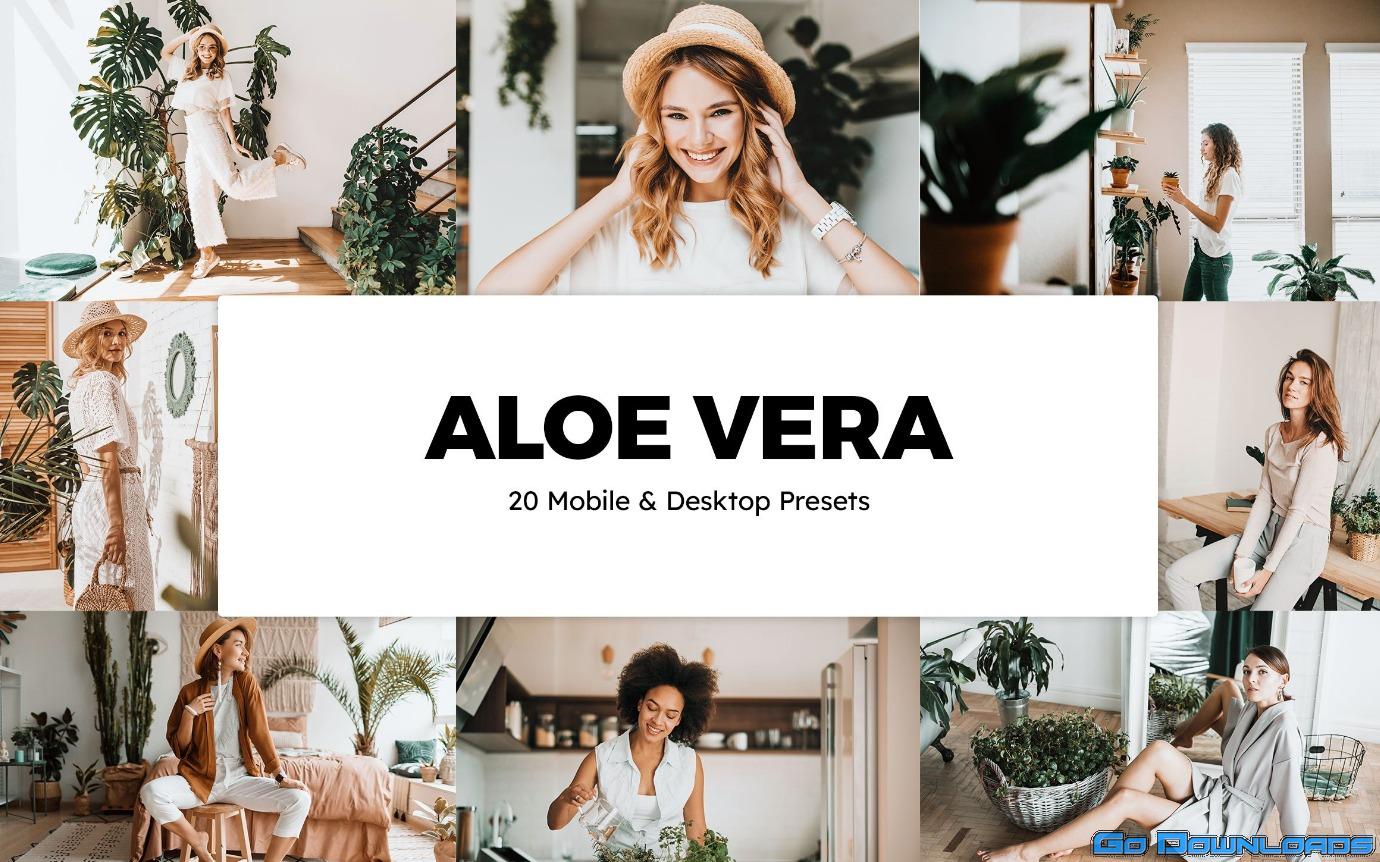 CreativeMarket 20 Aloe Vera Lightroom Presets & LUTs 5861842 Free Download