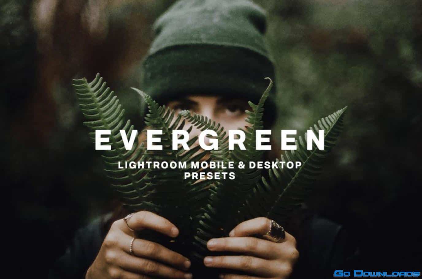 CreativeMarket EVERGREEN LIGHTROOM PRESETS 5756318 Free Download