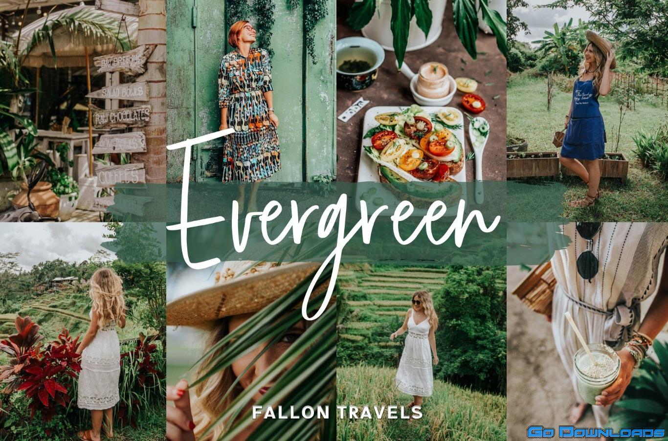 CreativeMarket Evergreen Lightroom Mobile Presets 5017153 Free Download