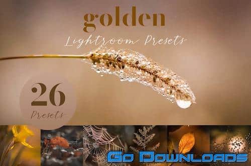 CreativeMarket Golden Lightroom Presets 5805936 Free Download