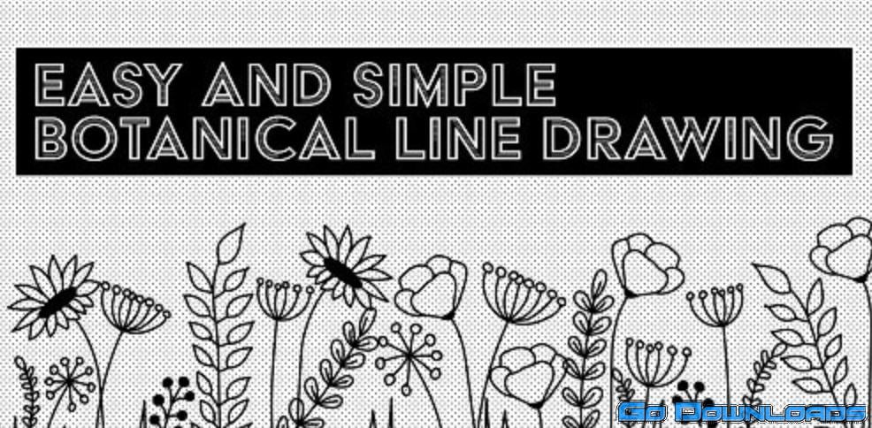 Easy and Simple Botanical Line Drawings – 15+ Flowers, 25+ Leaves and Fillers and 2+ Compositions