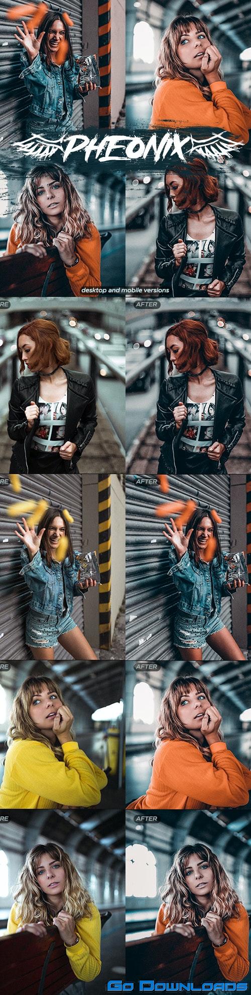 GraphicRiver Phoenix Lightroom Preset Aesthetic PRO Preset 29978276 Free Download