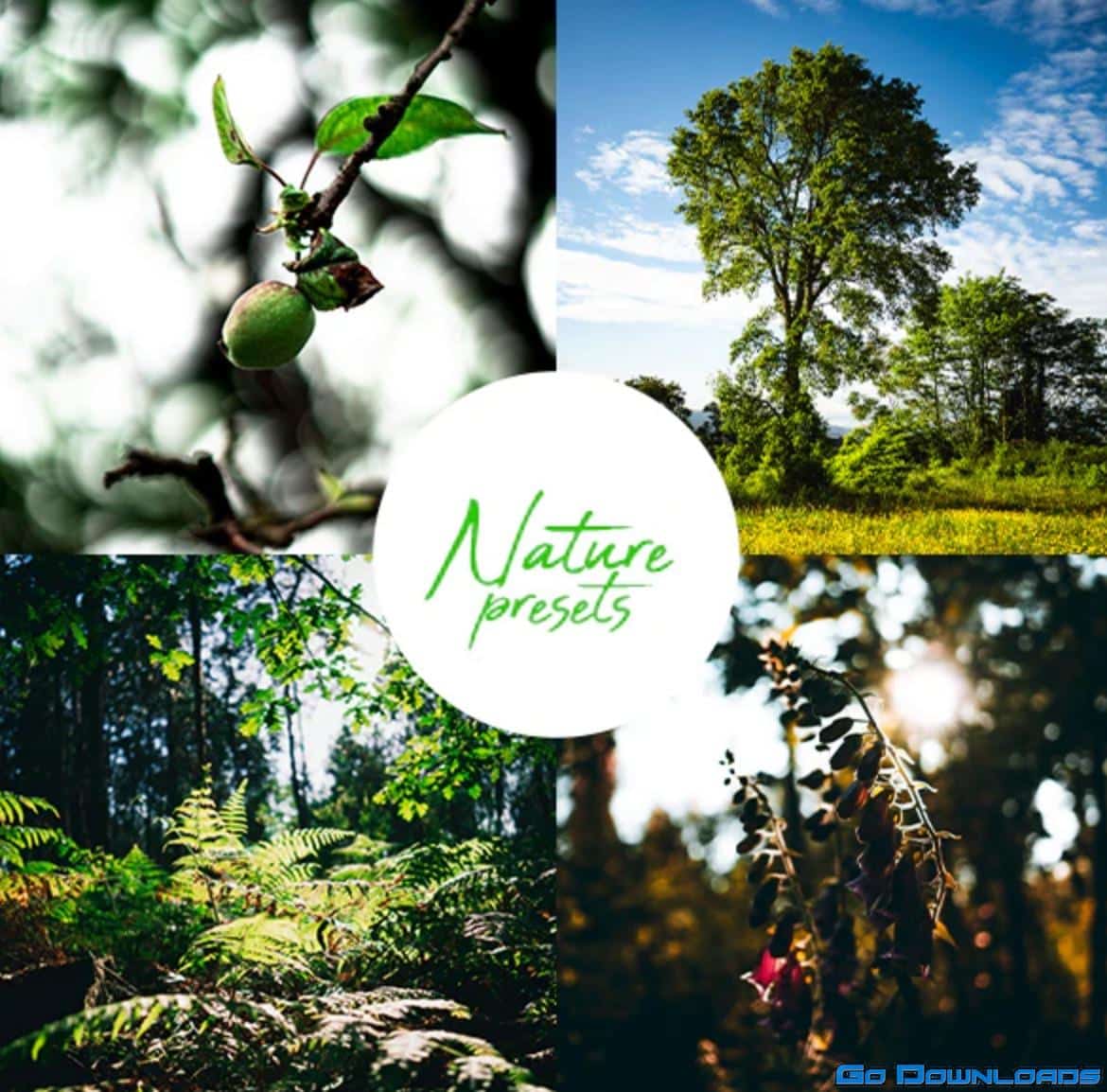 GraphicRiver Professional Nature Lightroom Preset (Mobile & Desktop) 30177890 Free Download