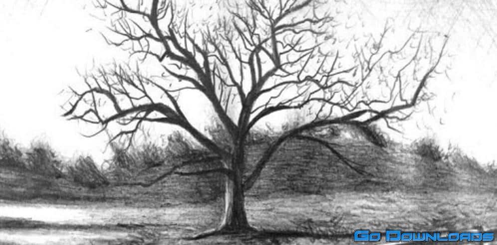 Intro to Graphite Pencil Drawing Free Download