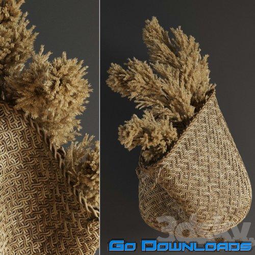 Pampas flower in hand basket Free Download