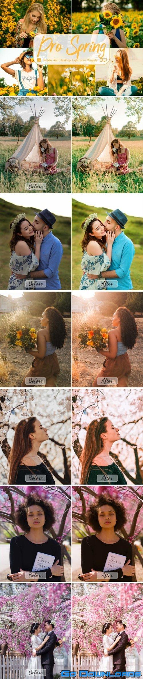 Pro Spring Mobile and Desktop Lightroom 7872653 Free Download