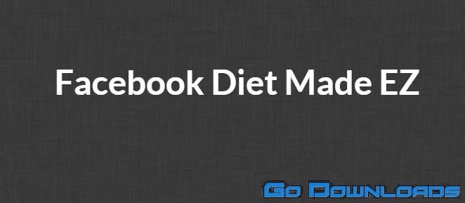 Ross Minchev and Brian Pfeiffer Facebook Diet Made EZ Video Course Free Download